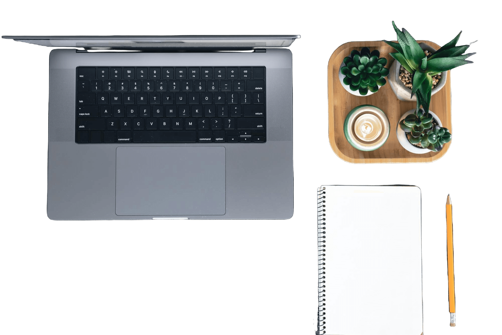 Top-view of a laptop and notebook surrounded by flower pots on a transparent background